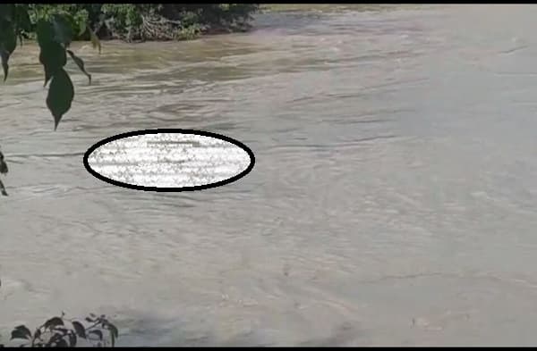 बगहा: नदी में शव मिलने से सनसनी, लाश की शिनाख्त करने में जुटी पुलिस