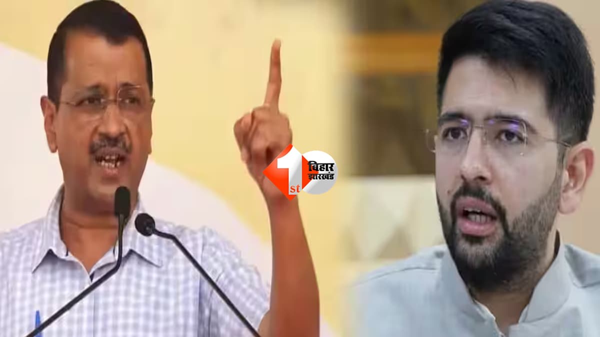 आम आदमी पार्टी में बड़ा सियासी भूचाल… राघव चड्ढा से छीना राज्यसभा उपनेता पद, अशोक कुमार मित्तल को सौंपी गई नई जिम्मेदारी