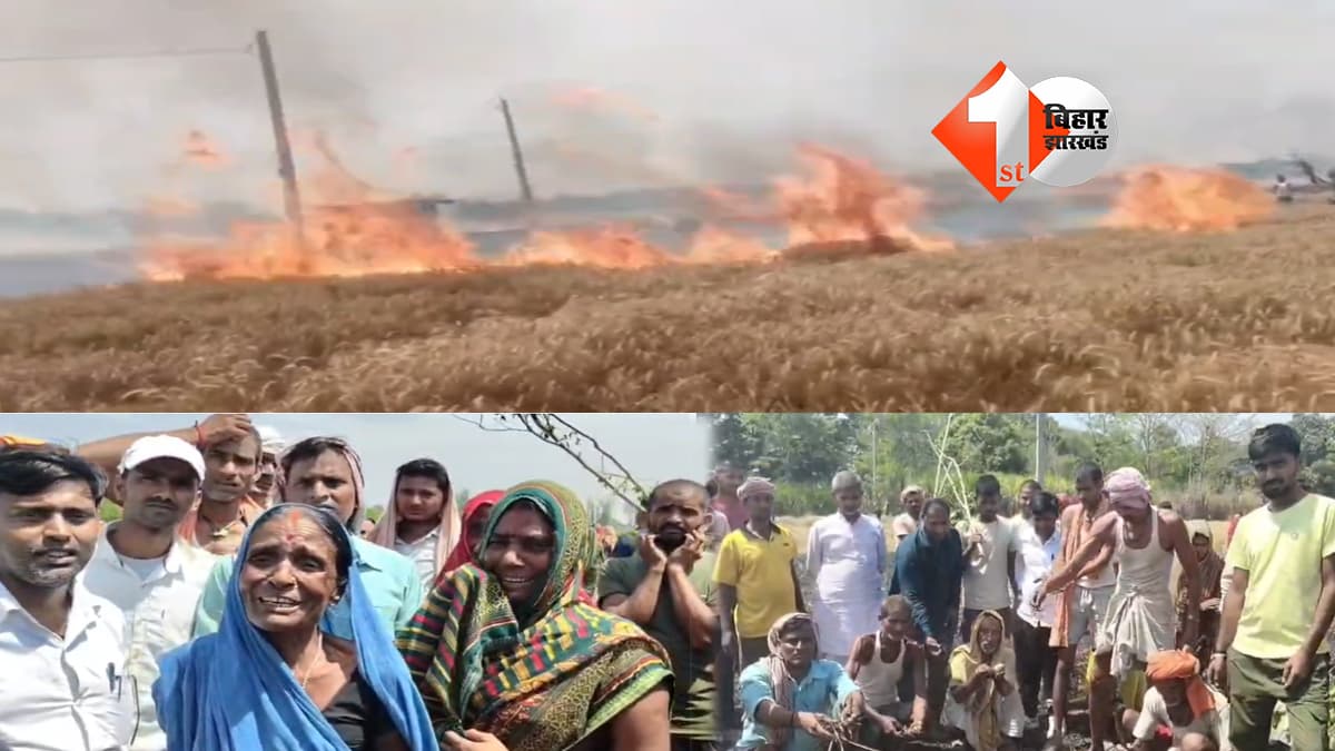 बिहार न्यूज