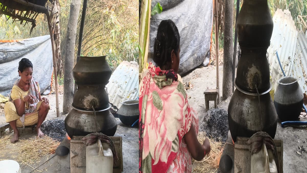 बिहार न्यूज