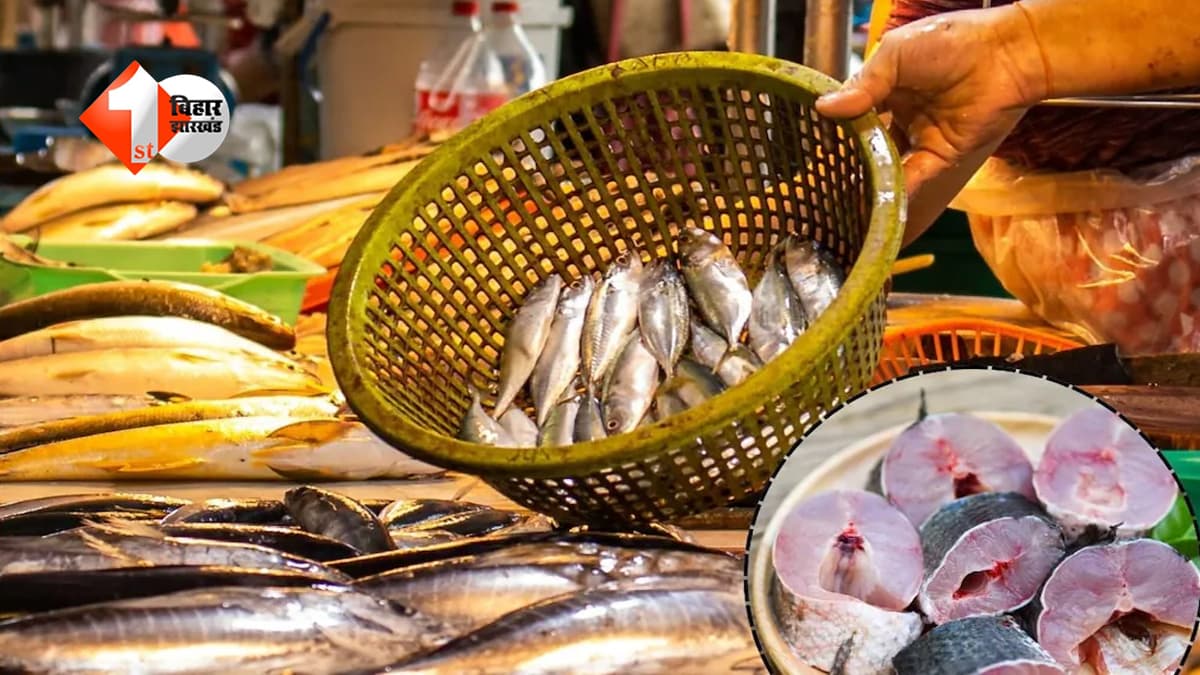 खुले में मांस-मछली कारोबार बैन: निगम ने चलाया सख्त अभियान, 686 दुकानों पर रोक, नियम तोड़ने वालों पर होगी कड़ी कार्रवाई