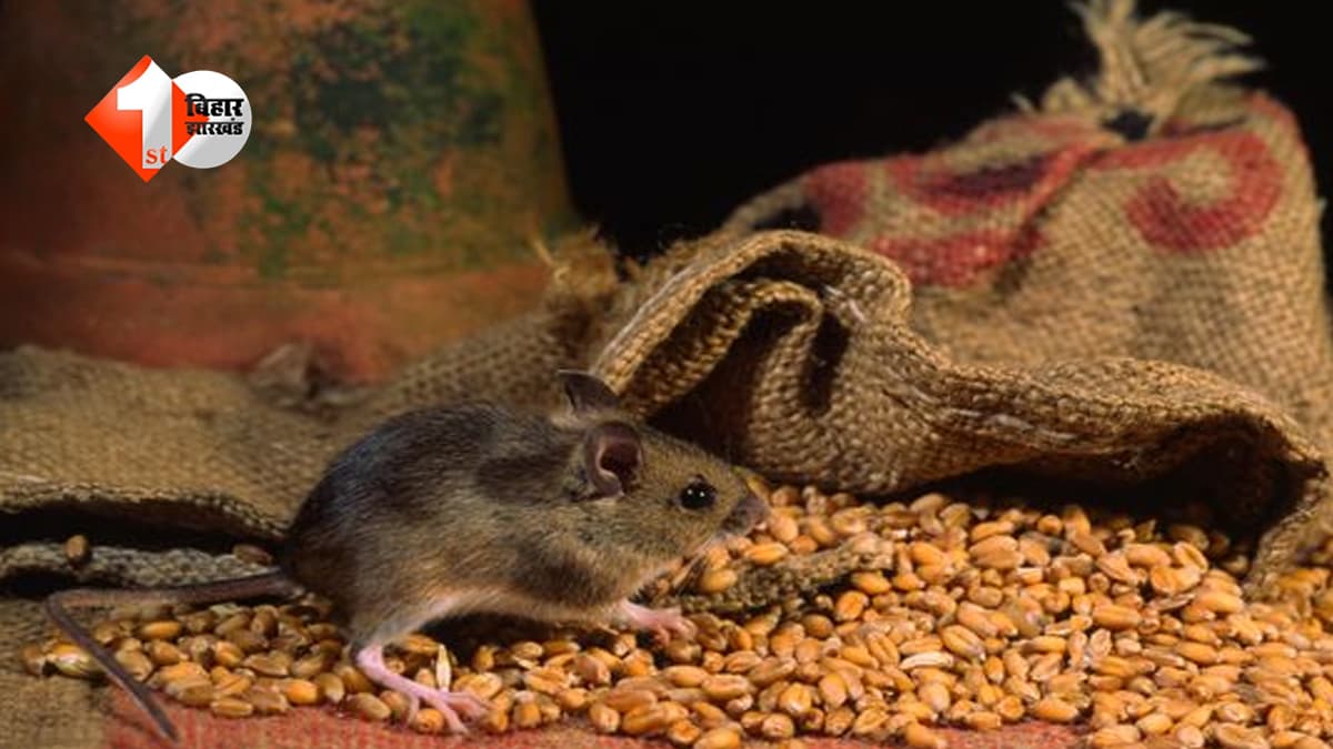 अब नहीं मिलेगा ‘रेटॉल पेस्ट’… बिहार सरकार का बड़ा फैसला, ऑनलाइन-ऑफलाइन बिक्री पर पूरी तरह रोक