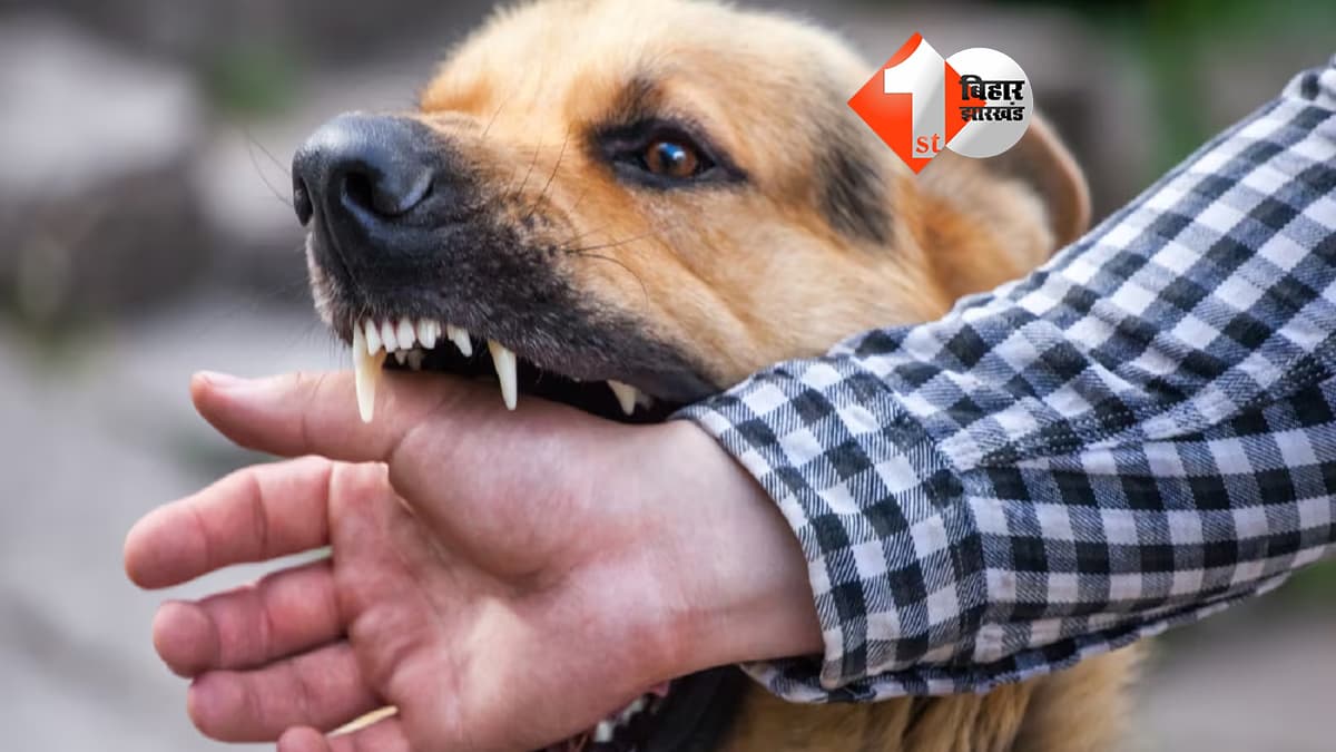 बिहार न्यूज