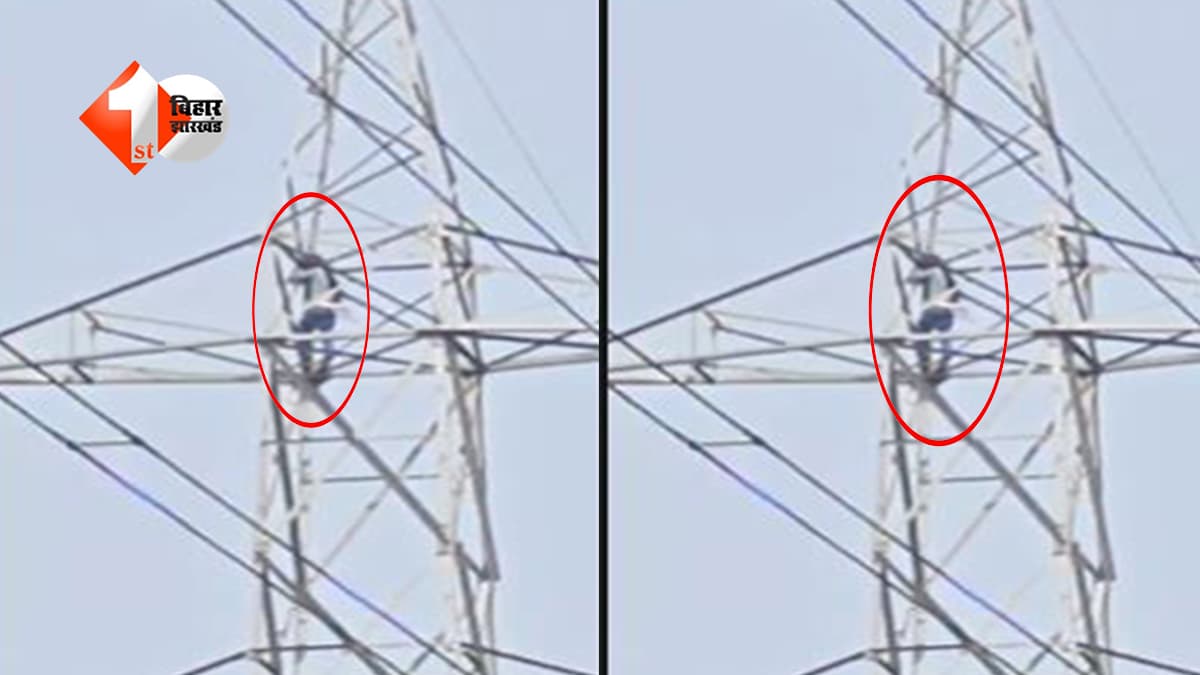 "बाबू, मैं सिर्फ तुम्हारी हूं..." BF से जबरदस्ती शादी करने के लिए बिजली टावर पर चढ़ी GF, चिल्लाकर कहने लगी–"ऐसे कैसे तुम मेरे नहीं हो सकते!"