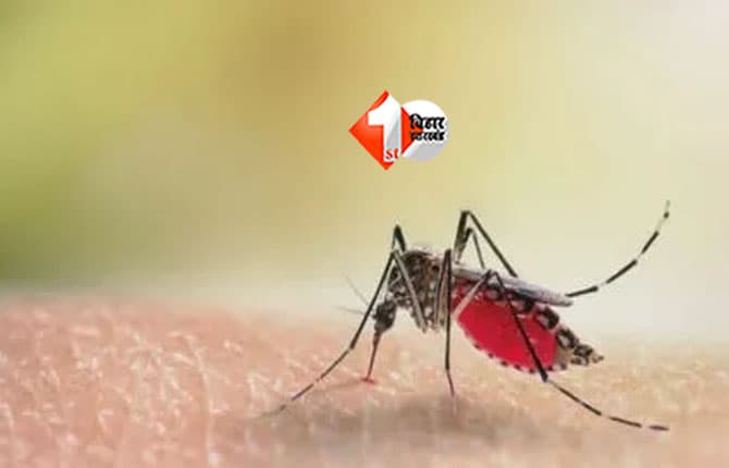 Bihar Dengue Cases