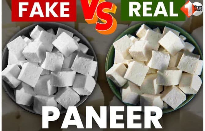 Artificial Paneer
