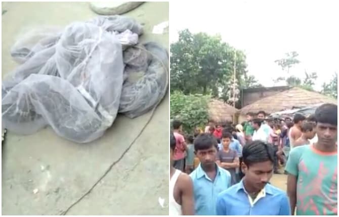 बगहा: रिहायशी इलाके में घुसा 10 फीट लंबा अजगर, लोगों में दहशत