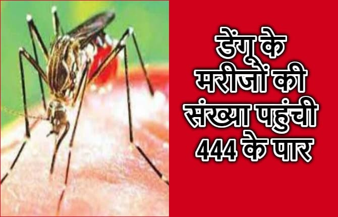 डरा रहा है डेंगू का डंक ! पटना में मरीजों की संख्या 444 के पार पहुंची, जानिए डेंगू से कैसे कर सकते हैं बचाव