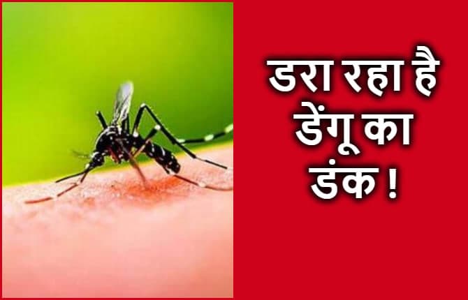पटना में डेंगू के 58 नये मरीज और मिले, अब तक 603 लोग डेंगू से पीड़ित