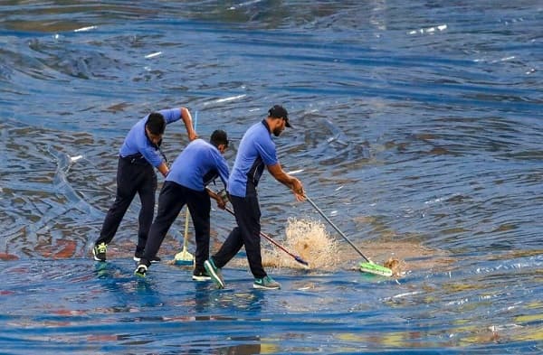 बारिश बना विलेन, धर्मशाला के ग्राउंड में भरा पानी, बिना टॉस के रद्द हुआ पहला T-20 मैच