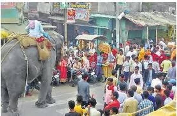 सीवान में हाथी का हड़कंप, मेले में मचाया आतंक